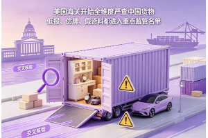 美国海关开始全维度严查中国货物 低报、仿牌、假资料都进入重点监管名单