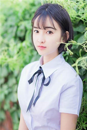 赵长欢李书翊小说