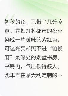 暗夜交锋：首席总裁的卧底妻