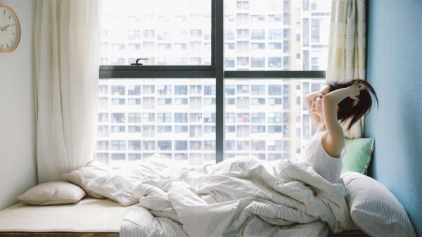 青梅不算（姜棕何诗诗）青梅不算笔趣阁免费小说_青梅不算笔趣阁全文阅读