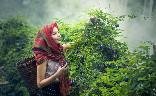 商陆沈辞普女变美后，大佬抢疯了小说全文章节阅读 商陆沈辞免费精彩章节