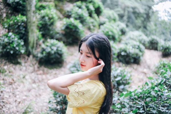 《月光坠落伤心城》小说章节在线试读 钟青黎邵星驰小说全文