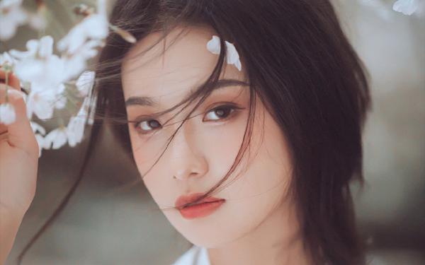 陆欣苒贺墨迟真千金水泥封心后，渣爸哥哥追妹火葬场小说精彩内容免费试读