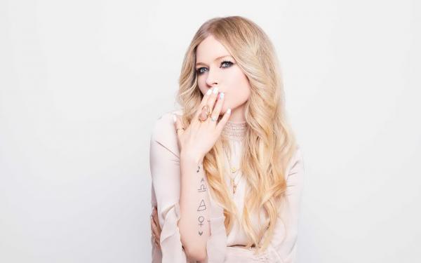 云烟落锦城全文精彩章节在线阅读(云烟锦城)