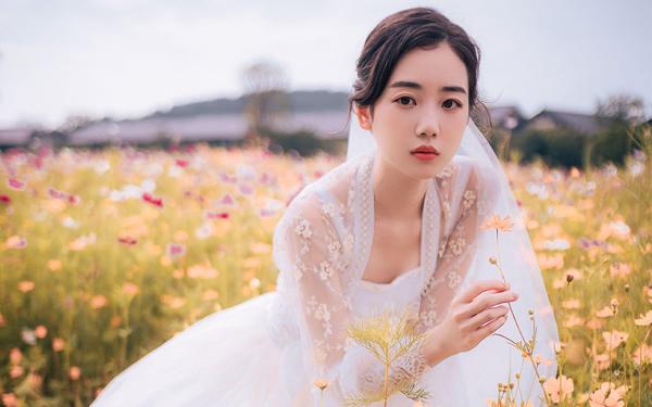美文阅读《开局被动圆房，阿嫂我真不是傻子》许修年苏乐瑶全文精彩章节列表试读