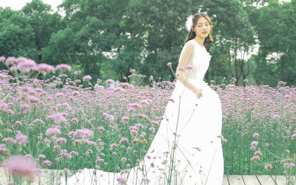 程枫宋音晓全文免费阅读(放手后，乡村女厂长求我回家) 完结版