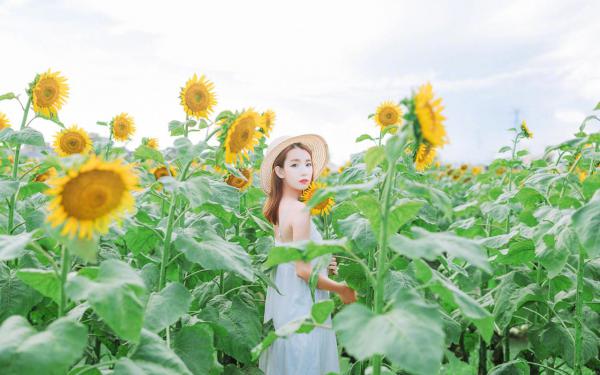 《扶苏自杀后，我携剑圣进宫杀贪官》小说章节精彩阅读 赵凌秦始皇小说阅读