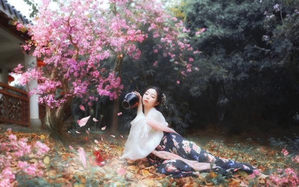 《钟青黎邵星驰》小说全文在线阅读 月光坠落伤心城小说全文
