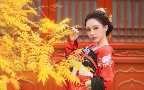 爱像一阵风完整全文阅读 陆黎书沈巍江暖小说结局无删节