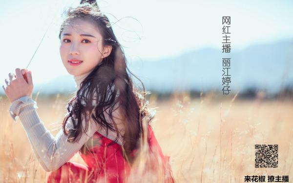 改嫁植物人豪门少爷后，三个竹马悔疯了精彩章节小说目录免费试读 (周予安赵晴林柔柔) 大结局无弹窗