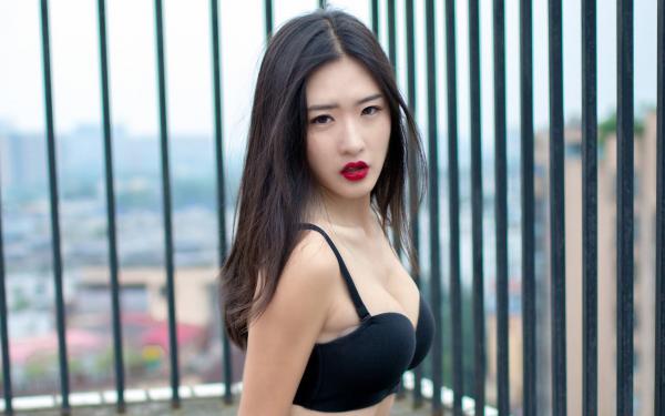 [辰曦照破旧情伤]江曜白陆婉柔小说全文章节目录在线阅读