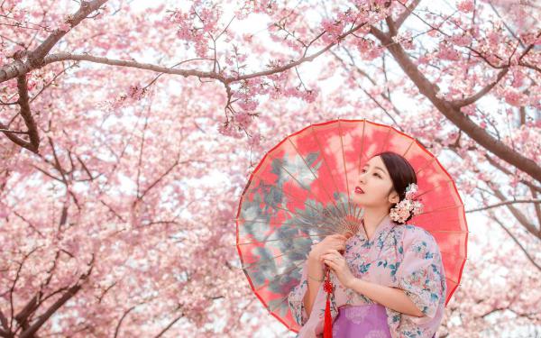 青春小说《校草背叛后，我闪婚太子爷气疯他》主角苏念笙沈隽西全文精彩内容免费阅读
