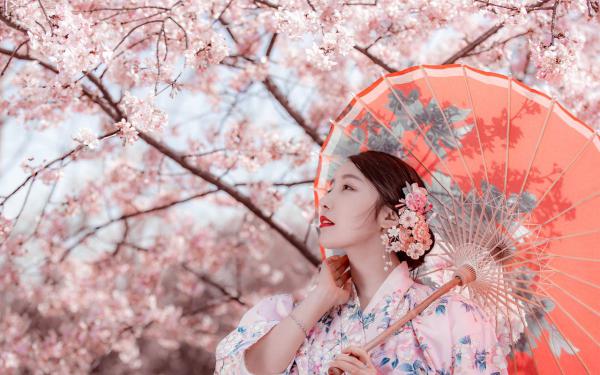 《女配的求生法则》完结版免费试读 《女配的求生法则》最新章节列表