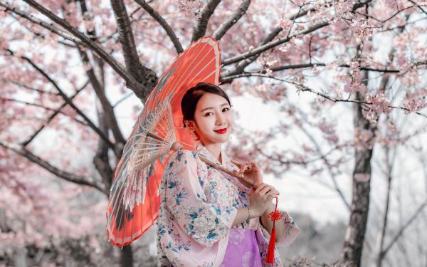 《林念萧衔》小说章节目录在线试读 商贾之女的林念小说阅读