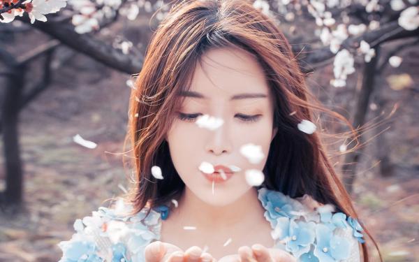 《程远峥柳丞相柳茵茵》他十里红妆另娶，我八抬大轿封将章节目录在线试读