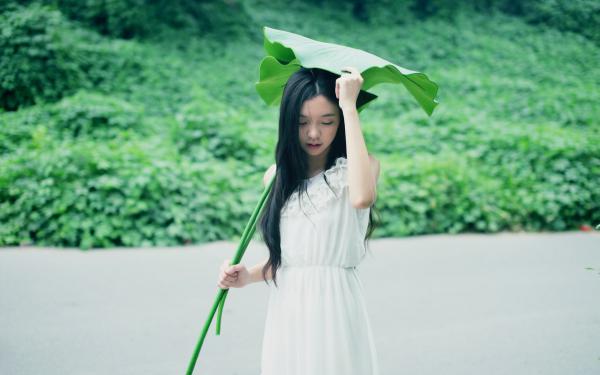 萌娃圈粉(苏泠沈意川云禾)全文免费阅读_苏泠沈意川云禾萌娃圈粉全文阅读_笔趣阁萌娃圈粉