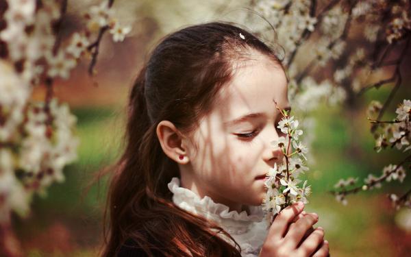 《残灯尚燃焰芯冷》大结局精彩阅读 《残灯尚燃焰芯冷》最新章节列表