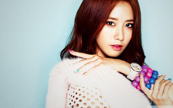 热文《沈星禾陆时越》踏遍春山无旧踪全文无弹窗阅读