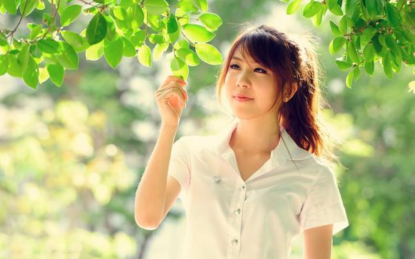 记忆燃尽成灰精彩章节小说目录免费试读 (楚慈陆淮之) 大结局无弹窗